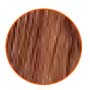 Noyer Naturel